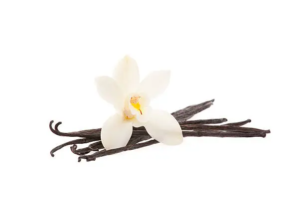 Photo of vanilla beans with orchid