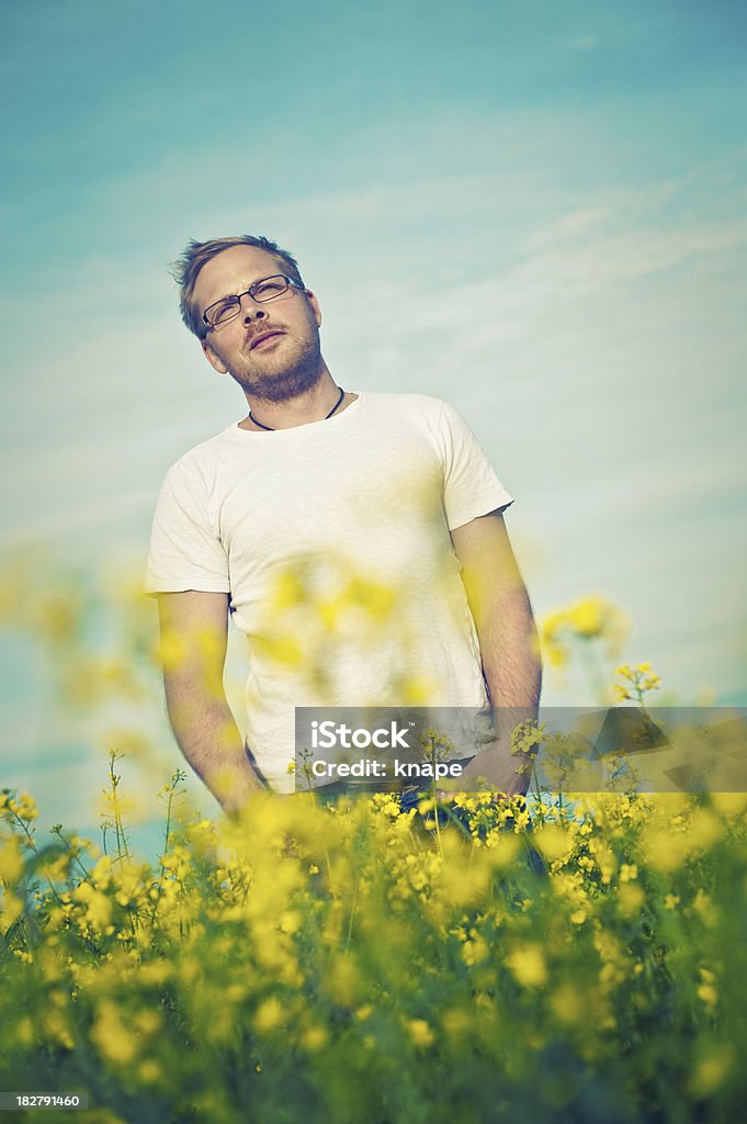 Uomo in campo di colza - Foto stock royalty-free di 25-29 anni