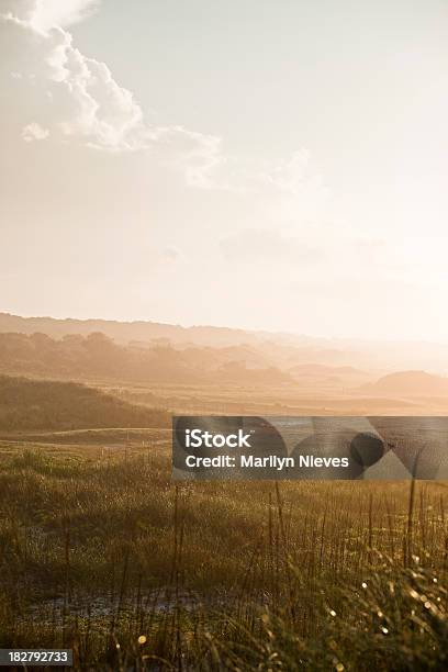 Sunrise On The Meadow Stock Photo - Download Image Now - Frisco - Texas, Sunrise - Dawn, Landscape - Scenery