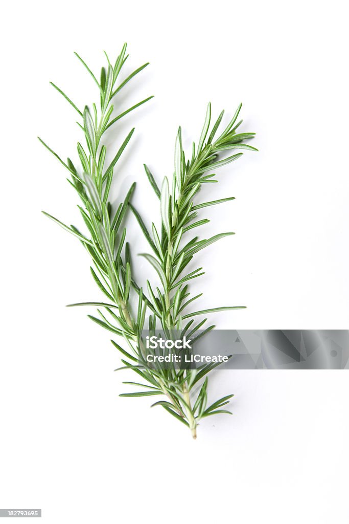 Sprig of Rosemary "Fresh bunch of rosemary with selective focus. Rosemary, part of the mint family, is a strong scented resinous herb used in cooking." Rosemary Stock Photo