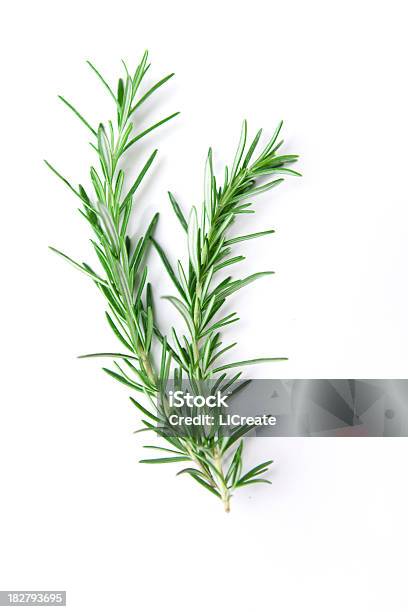 Sprig Of Rosemary Stock Photo - Download Image Now - Rosemary, Herbal Medicine, Twig