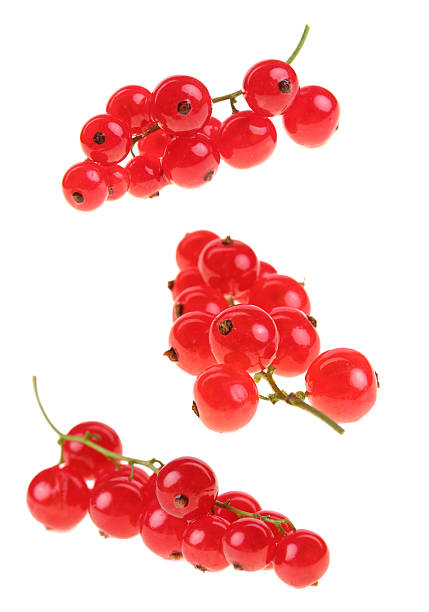 groselha vermelha panicles - currant red isolated fruit imagens e fotografias de stock