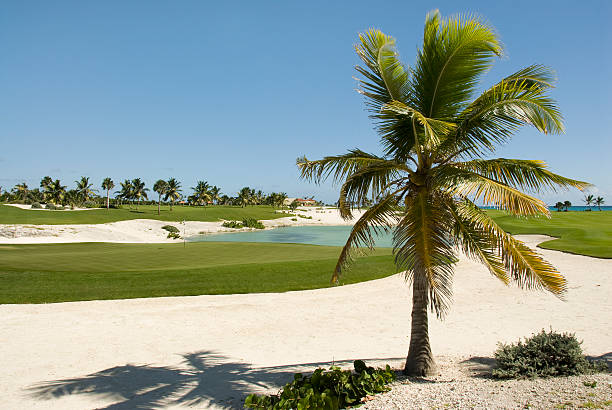 istock Tropical Golf Course With Sand, Punta Cana, Dominican Republic 182793938