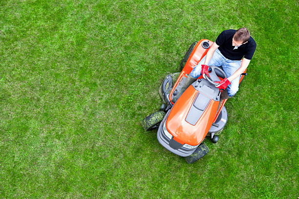 overhead schuss von gardener mähen lawn mower fahrt - lawn mower tractor gardening riding mower stock-fotos und bilder