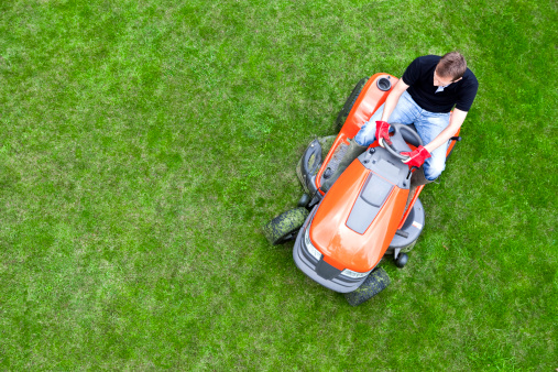 Lawn mower cutting green grass outdoors in backyard, green thuja trees on the background. Gardening concept, Summer vibes