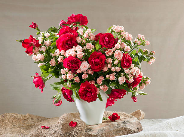 Bouquet of roses. stock photo