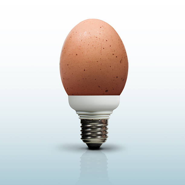 Egg-ampoule - Photo