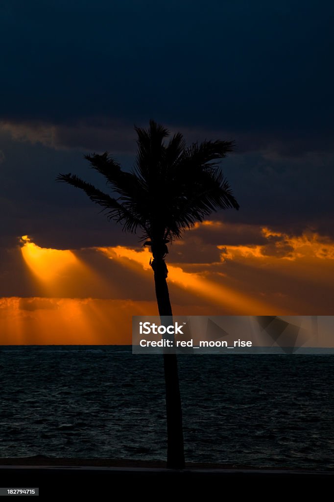 Палм Пляж sunrise - Стоковые фото Атлантический океан роялти-фри