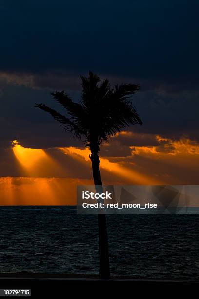 Палм Пляж Sunrise — стоковые фотографии и другие картинки Атлантический океан - Атлантический океан, Буря, Вертикальный