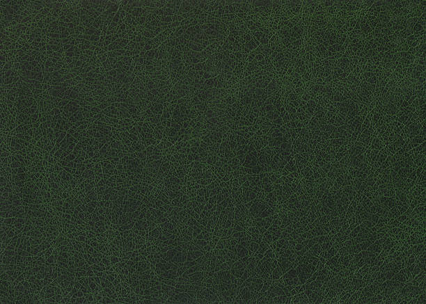 grünes leder. - leather green hide textured effect stock-fotos und bilder