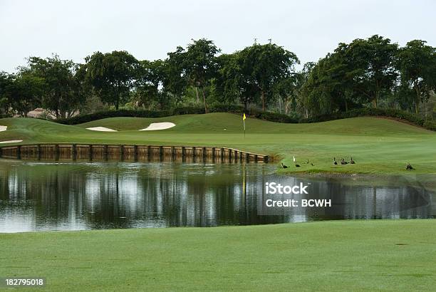 Photo libre de droit de Magnifique Parcours De Golf En Louisiane banque d'images et plus d'images libres de droit de Parcours de golf - Parcours de golf, Louisiane, Golf