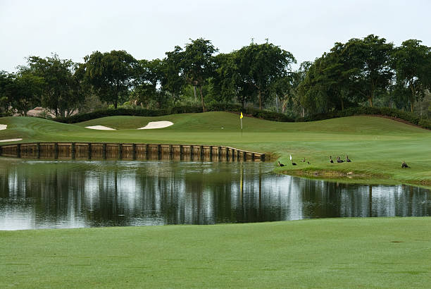 Golf fields and beautiful summer landscapes. 