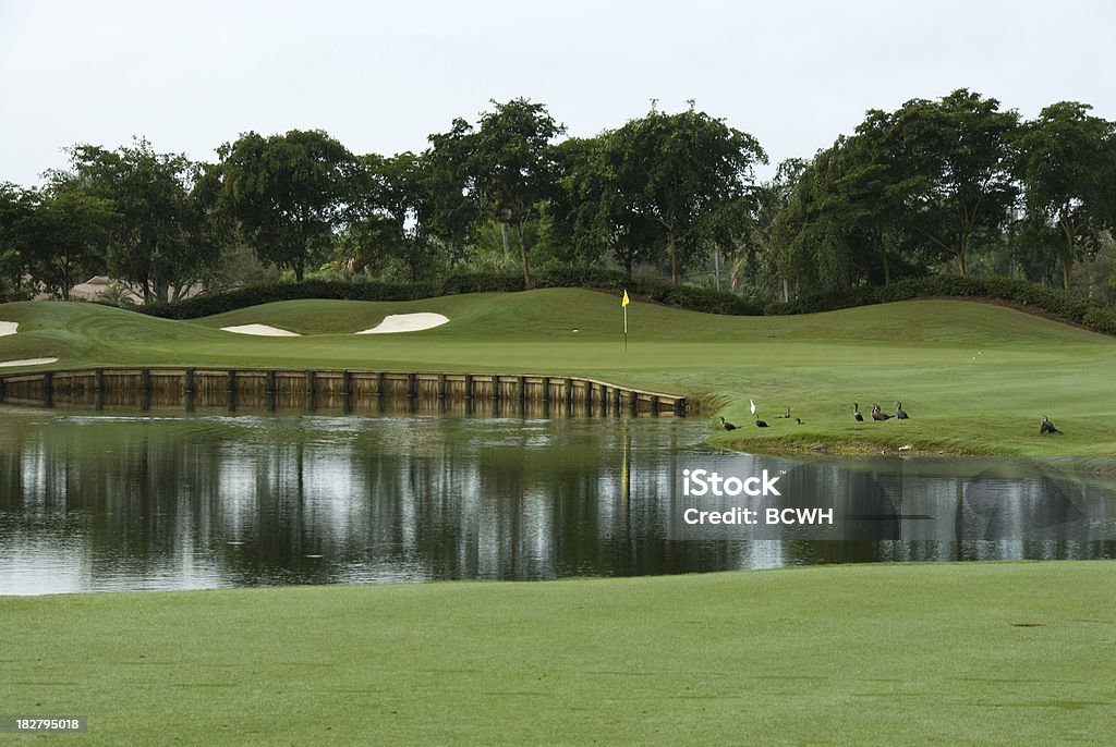 Piękny pole golfowe w Louisiana - Zbiór zdjęć royalty-free (Pole golfowe)
