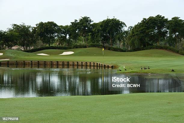 Piękny Pole Golfowe W Louisiana - zdjęcia stockowe i więcej obrazów Pole golfowe - Pole golfowe, Stan Luizjana, Golf - Sport