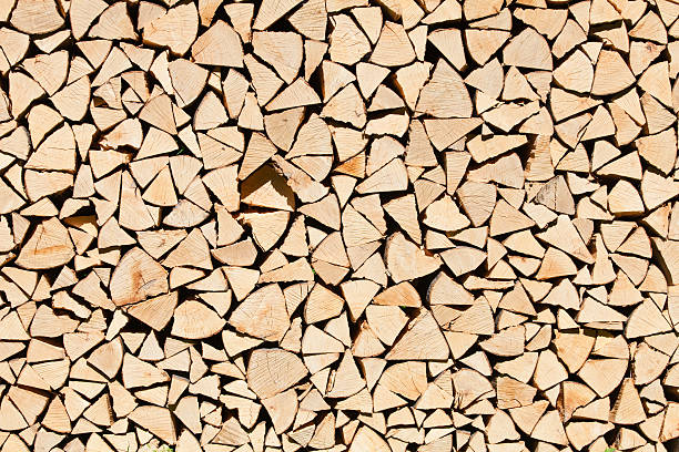 Fire wood piled up for winter