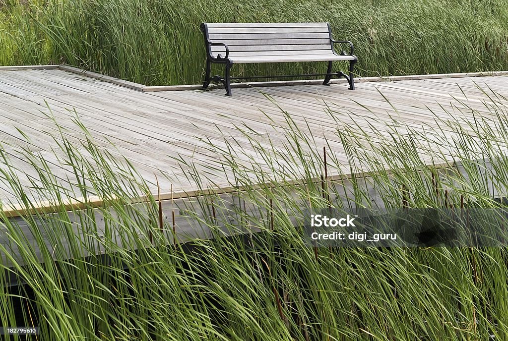 Solitude banc par le marsh - Photo de Activité de loisirs libre de droits