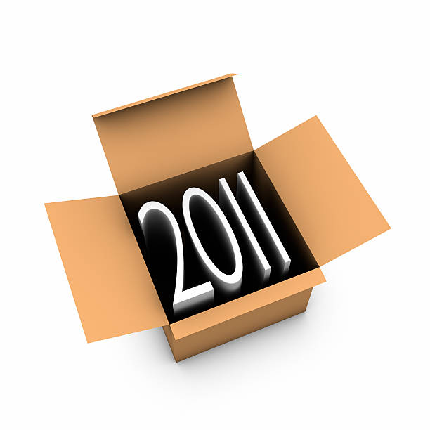 New year 2011 out of the box