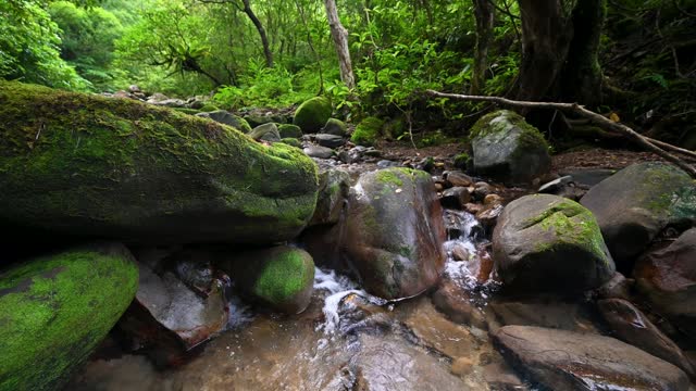 Peaceful scene in the center of river, water flows gently between rocks covered by moss, in Bengshankeng historical trail, New Taipei City, Taiwan.