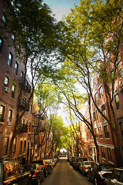 istock Beacon Hill neighbourhood 182796363