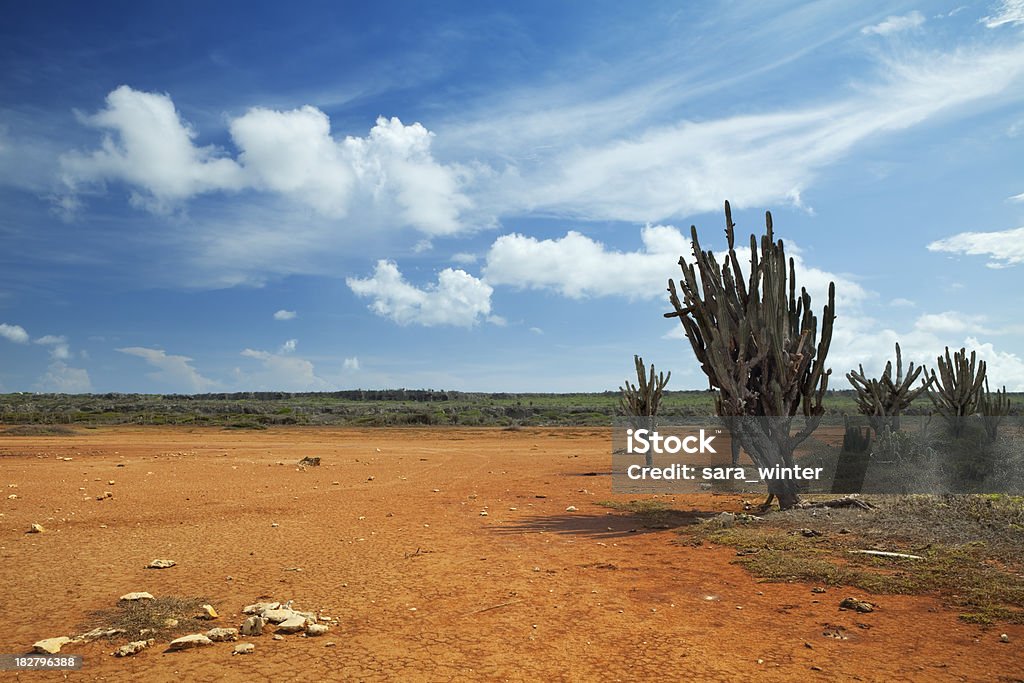 Paisaje del desierto en Hato liso, Curazao, Antillas Holandesas - Foto de stock de Agrietado libre de derechos