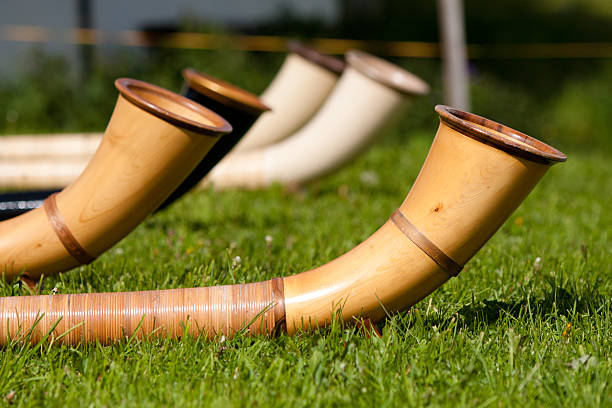 Alpine Horns In The Grass Several Alphorns lay in the grass in the mountains of Switzerland. alpenhorn stock pictures, royalty-free photos & images