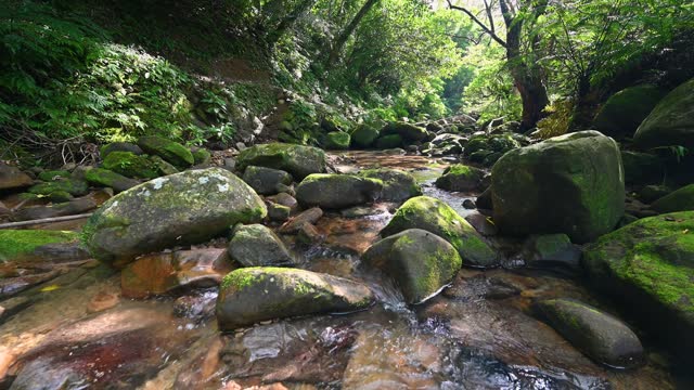 Relaxing scene by the riverside, beautiful rocks covered by moss, sunlight shines between leaks on the river, in Bengshankeng historical trail, New Taipei City, Taiwan.