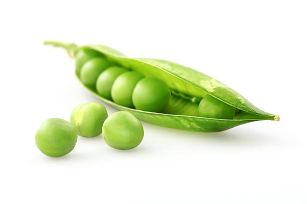 A fresh green pea pod on a white background Fresh green pea isolated on white background green pea photos stock pictures, royalty-free photos & images