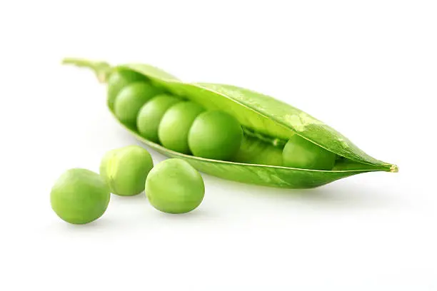 Photo of A fresh green pea pod on a white background