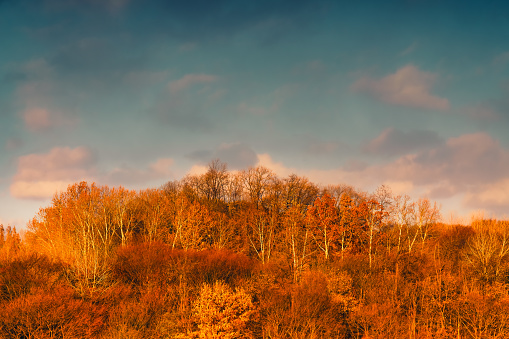 View over basque forest with autumn colors at Aiako Harriak natural park.