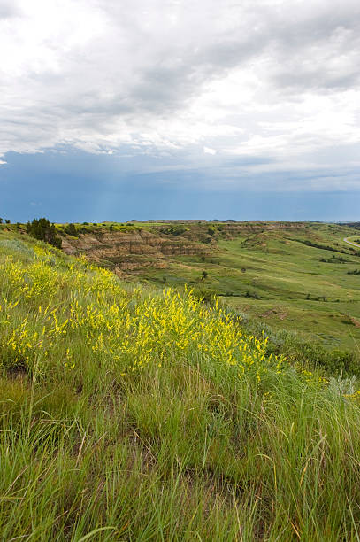 istock North Dakoa Medora Valley View 182796737