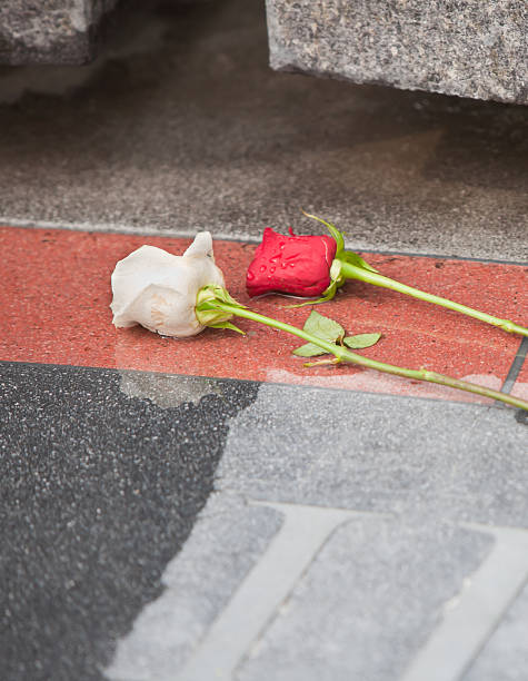 istock memorial day roses on wet ground 182797205