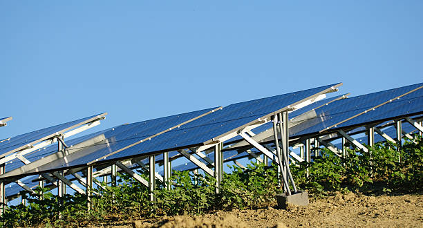 istock Solar farm plant 182797215