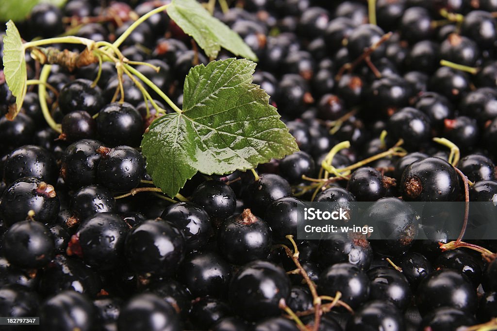 Groseilles noir - Photo de Aliment cru libre de droits