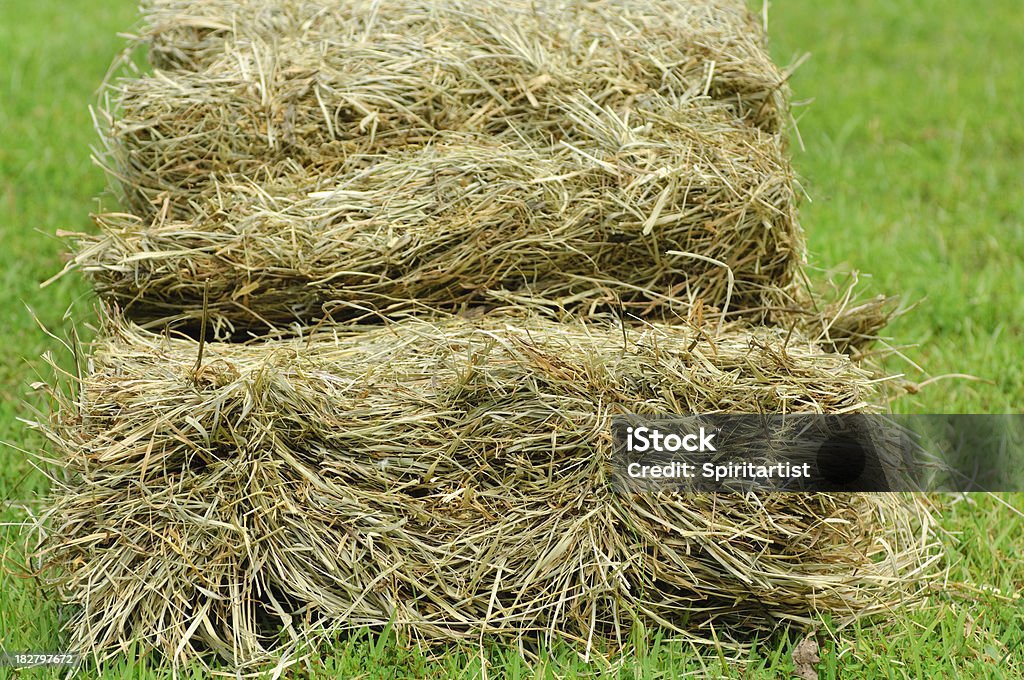 Hay Bale, aberto - Royalty-free Aberto Foto de stock