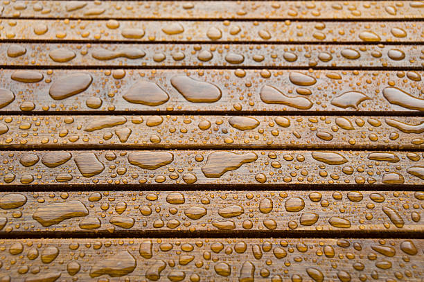 istock wooden surface protected with transparent varnish 182797834