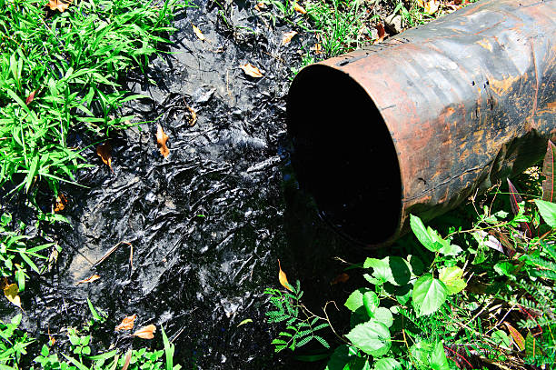 Oil spill drum pollution environmental disaster