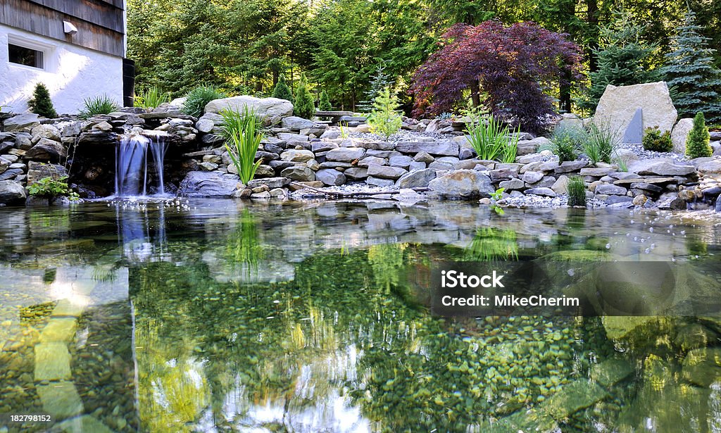 Tranquillo giardino Pond - Foto stock royalty-free di Acqua