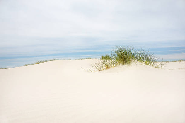 Paisagem de dunas - fotografia de stock