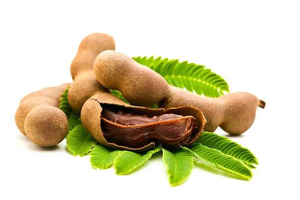 Fresh Tamarind with leaves