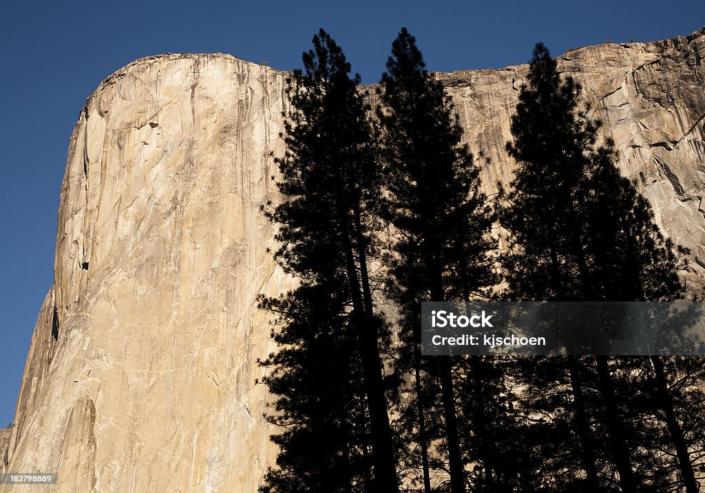 El capitán con siluetas de árbol - Foto de stock de Aire libre libre de derechos