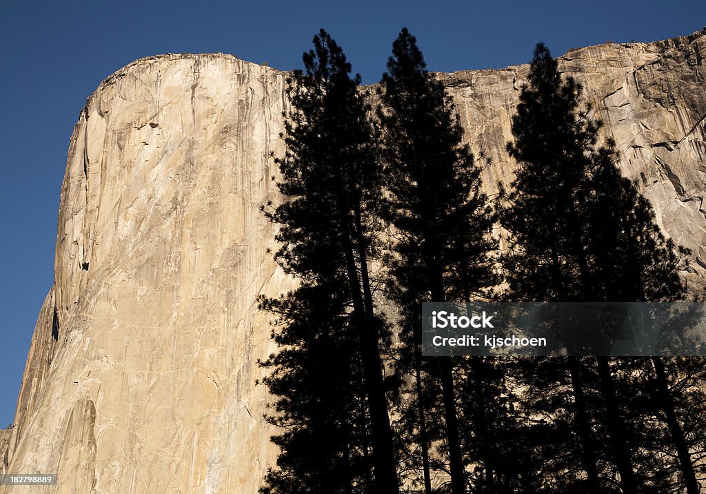 El Capitan avec des Silhouettes d'arbre - Photo de Californie libre de droits