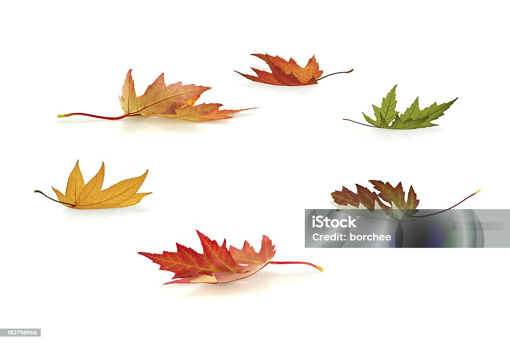 Herbstmuster - Lizenzfrei Blatt - Pflanzenbestandteile Stock-Foto