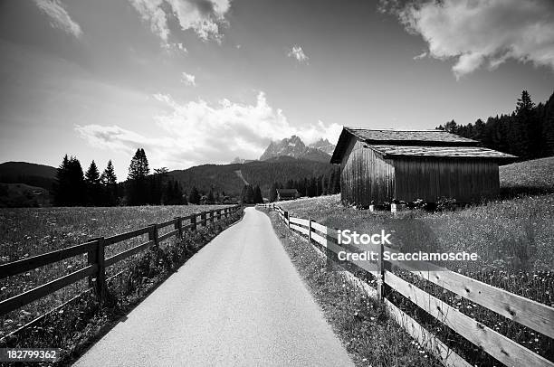 Paisagem Das Montanhas Dolomitas - Fotografias de stock e mais imagens de Preto e Branco - Preto e Branco, Viagem em Estrada, Abrigo de Jardim