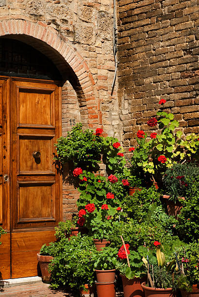istock Italian door 182799503