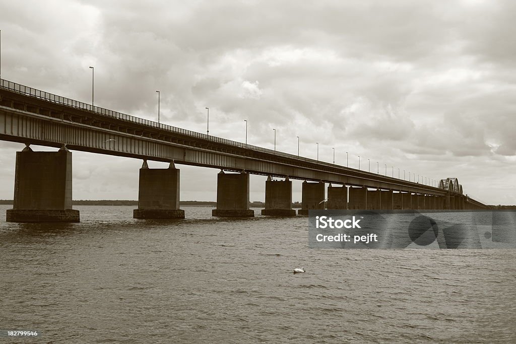 Storstrømsbroen Bridge part of the Vogefluchtslinie BW Sepia "StorstrAm Bridge (Danish, StorstrAmsbroen) is a road and railway arch bridge that crosses StorstrAmmen between the islands of Falster and MasnedA in Denmark.Together with Masnedsund Bridge it connects Falster and Zealand (SjA|lland). It was the main road connection between the islands until the FarA Bridges were opened in 1985. It is still the railway connection between the islands of Lolland, Falster, and Zealand. It is part of the Vogelfluchtlinie (beeline) between Copenhagen and Berlin, Germany.StorstrAm Bridge is 3199 metres long and 9 metres wide. The longest span is 136 metres, and the maximum clearance to the sea is 26 metres. The road is 5A metres wide. StorstrAm Bridge was opened by King Christian X on September 26, 1937. It was for 28 years the longest bridge in Europe." Animal Stock Photo