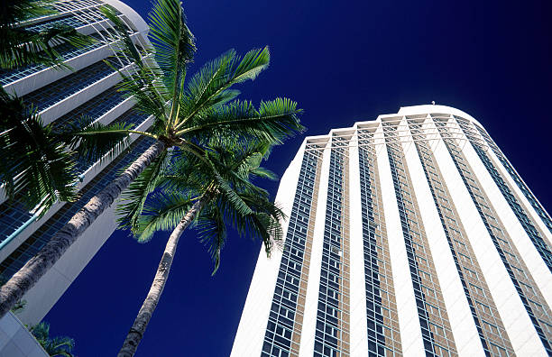 istock USA Hawaii O'ahu, Waikiki. 182799602
