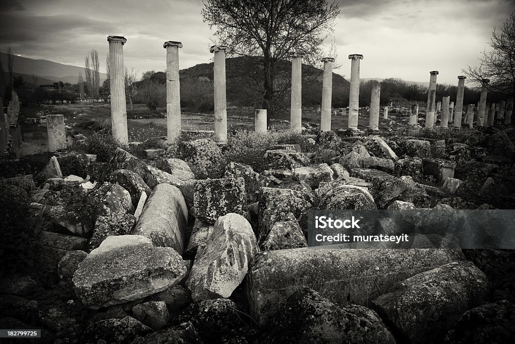 columns "B&W image Aphrodisias (Greek: !AEa AAA'AAAa, AphrodisiA!s) was a small city in Caria, on the southwest coast of Asia Minor. Its site is located near the modern village of Geyre, Turkey, about 230 km from Azmir.The ancient city of Aphrodisias, dedicated to the goddess of love Aphrodite, was a Hellenistic city which also flourished under Roman and Byzantine rule.The city was built near a marble quarry that was extensively exploited in the Hellenistic and Roman periods, and sculpture in marble from Aphrodisias became famous in the Roman world.The site is in an earthquake zone and has suffered a great deal of damage at various times, especially in severe tremblors of the 4th and 7th centuries.There are many other notable buildings, including the stadium, which is said to be probably the best preserved of its kind in the Mediterranean except, perhaps, for the Sanctuary of Apollo at Delphi." Abstract Stock Photo