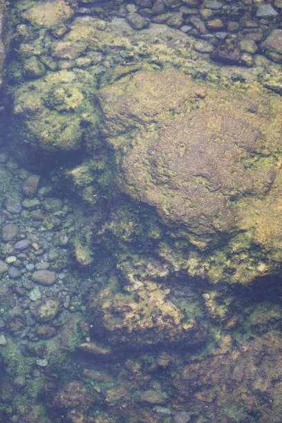 istock Abstract background rocks on seabed under water 1827999895