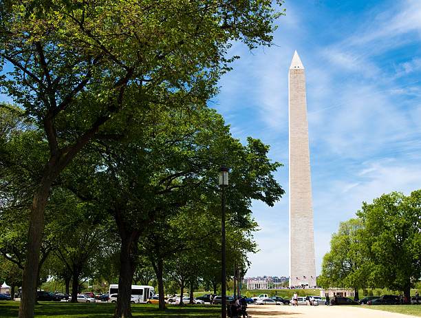 istock Pathway and trees at National Mall with Washington Monument 182800119