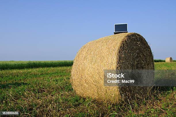 Portatile Su Balla Di Fieno - Fotografie stock e altre immagini di Accessibilità - Accessibilità, Affari, Agricoltura